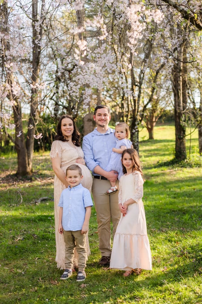 family in the spring during maternity photography session in knoxville tn