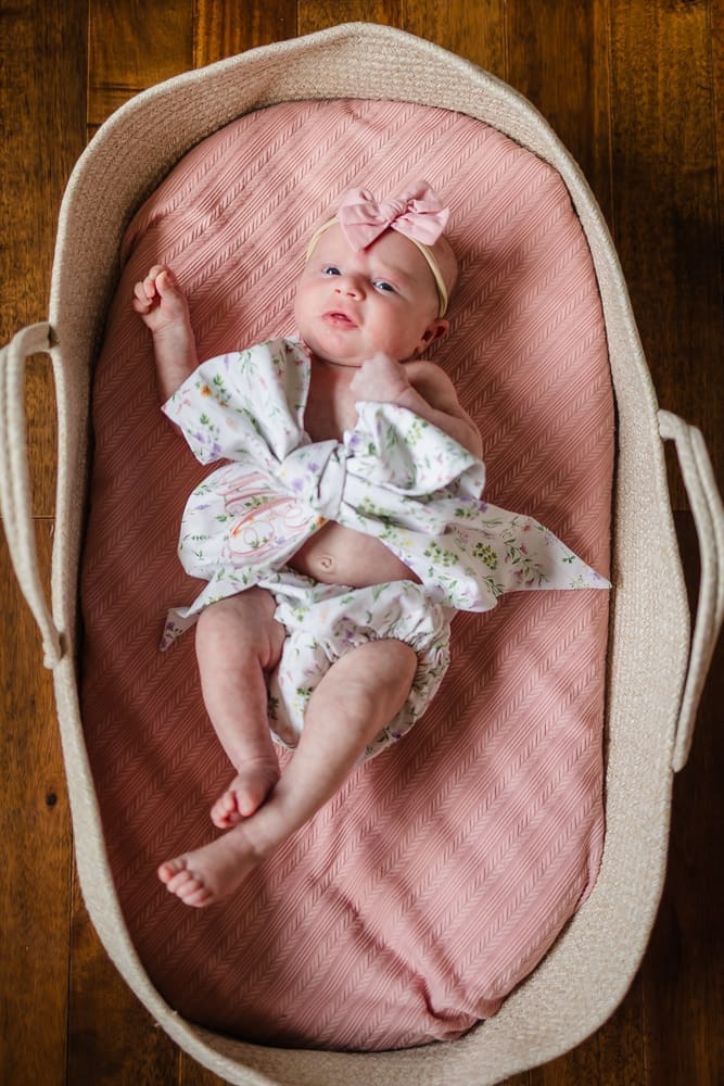Newborn baby girl in a Moses basket during an in-home newborn session in Powell TN